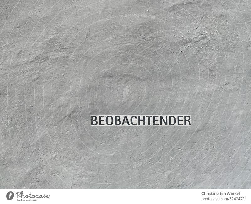 "Beobachtender" - Schrift an einer verputzten Wand Wort Buchstaben Schriftzeichen Text Typographie Graffiti Mauer Zeichen Fassade sorgfältig ordentlich Aussage