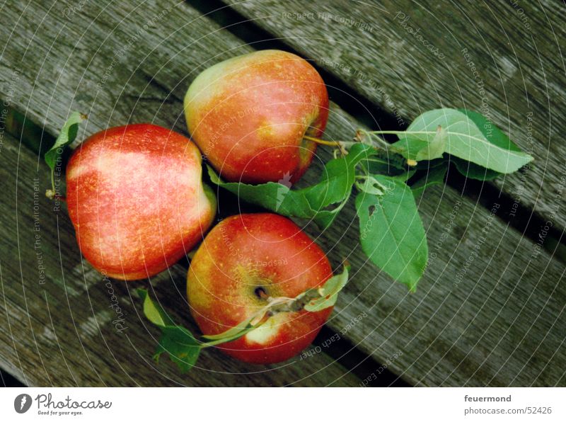 Die drei Äpfel Blatt Holz Holzbrett rot grün 3 Apfel Frucht timber