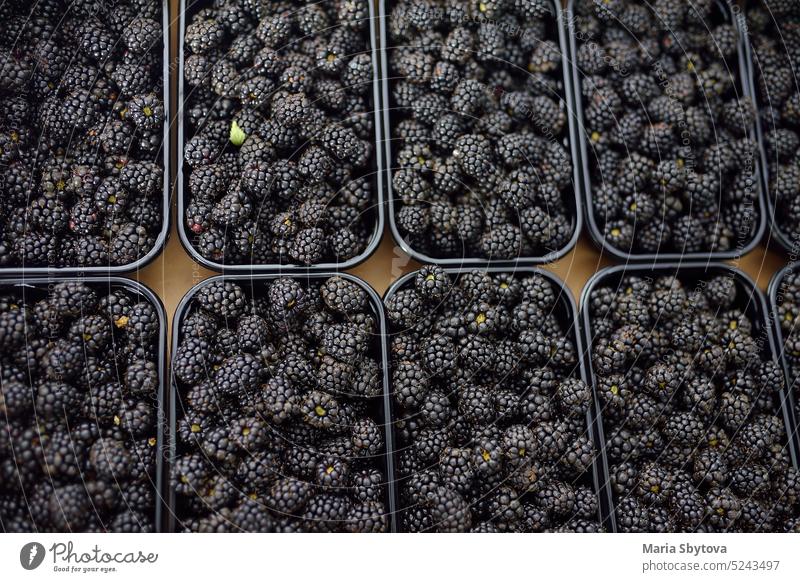 Frische Beeren aus eigenem Anbau gibt es auf dem örtlichen Bauernmarkt. Brombeere. Gesundes vegetarisches Essen. Brombeeren Ernte Lagerhalle Biografie