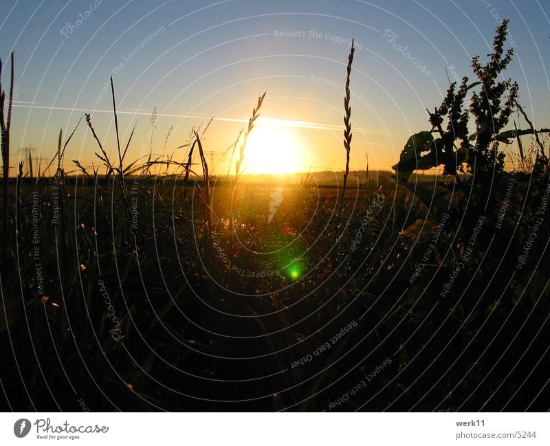 7 Uhr Morgens Sonnenuntergang Sonnenaufgang Stimmung Licht Landschaft