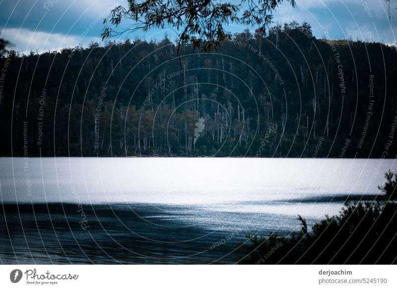 Still ruht der See. Abendstunde am Lake Ainworth  / Tasmania ruhig Reflexion & Spiegelung Natur Wasser Farbfoto Seeufer Landschaft friedlich Umwelt Ruhe