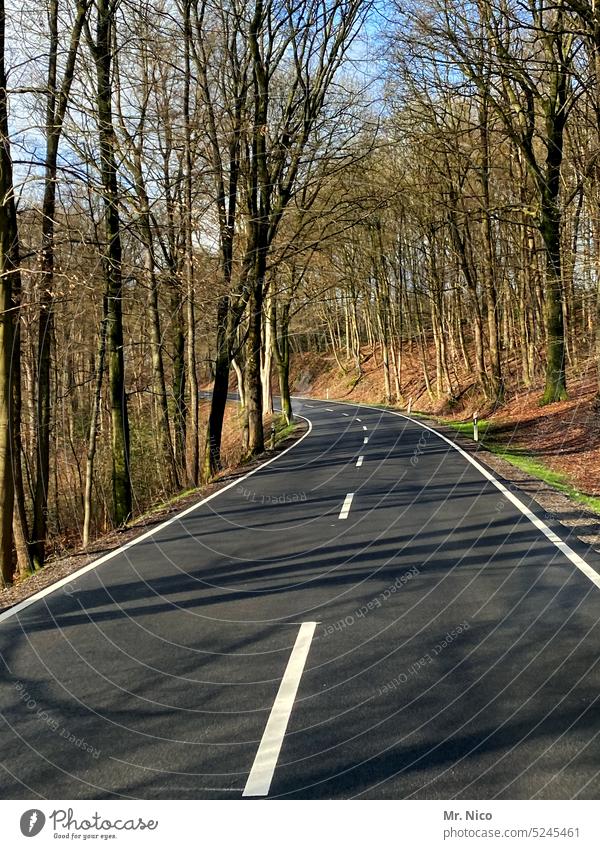 Landstraße Straße Verkehrswege Asphalt Straßenverkehr Wege & Pfade Linie Fahrbahnmarkierung zweispurig außerorts Mittelstreifen Wald on the road Roadmovie