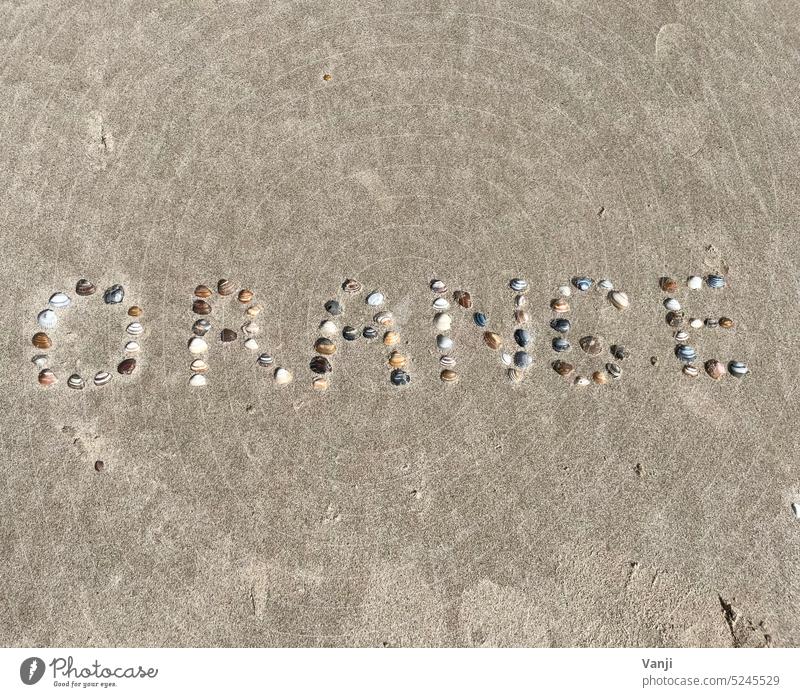 Orange Schriftzug Muscheln Dchrift Muscheln Strand Küste Sand Meer Ferien & Urlaub & Reisen Natur Tourismus Wasser Außenaufnahme Farbfoto Menschenleer Nordsee