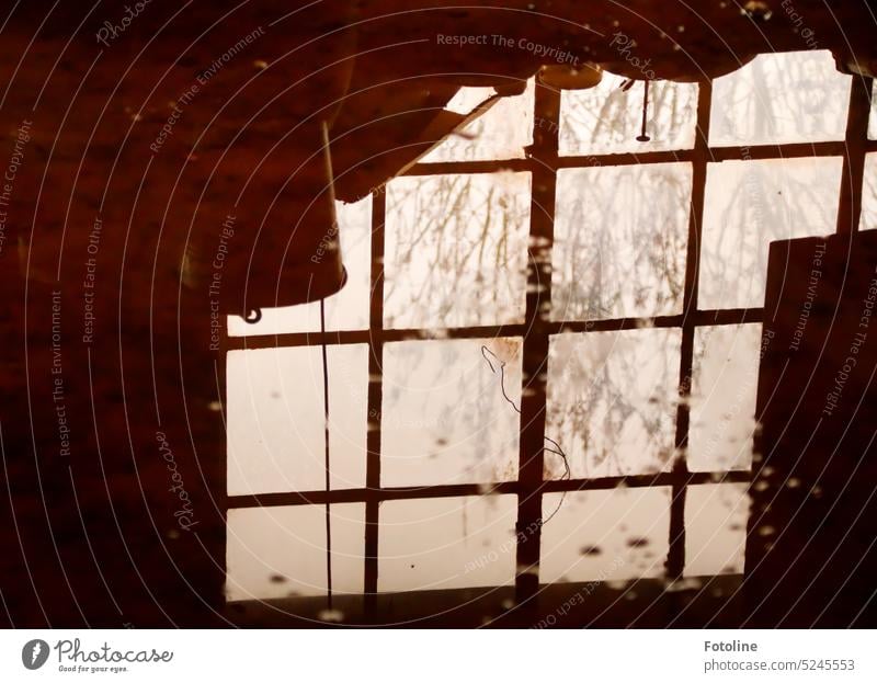 Wenn es in Lost Places reinregnet, entstehen die schönsten Pfützenspiegelungen. Spiegelung Wasser Fenster lost places Vergänglichkeit Zahn der Zeit dreckig nass