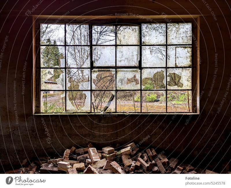 Das Fenster in diesem Lost Place ist zum größten Teil kaputt. Viele Scheiben wurden zerschlagen. Unter dem Fenster liegt ein Haufen Ziegelsteine. Alles ist kaputt und schmutzig.