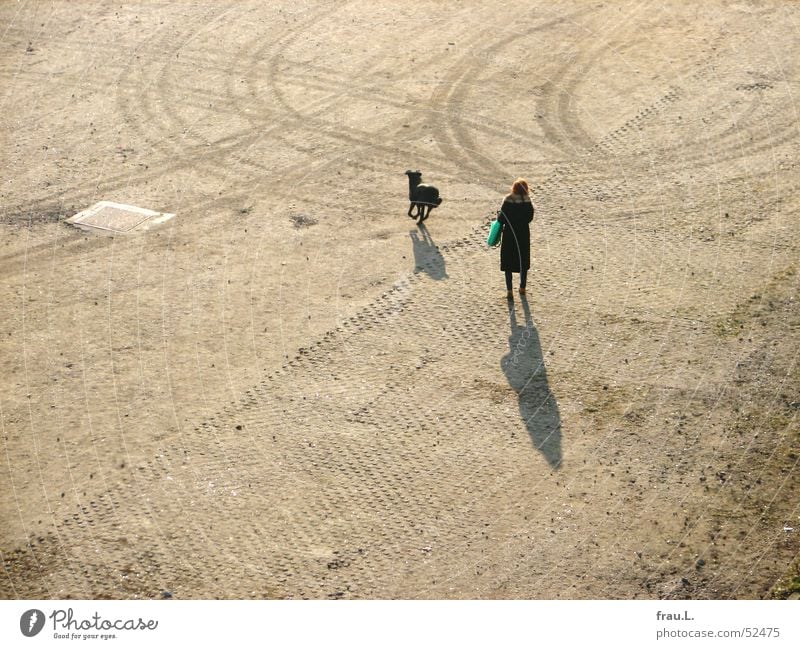 ein bester Freund Frau Hund Platz stehen Plastiktüte Freundschaft Spielen Reifenspuren rothaarig Stock werfen Schatten Sonne Pelzkragen heimweg