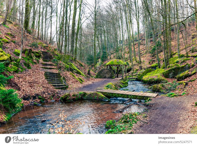 Karlstalschlucht. Im Karlstal bei Trippstadt. Naturbach Pfälzerwald Karlstal. Karlstalklamm Trippstadt, Pfälzerwald, Deutschland Rheinland Pfalz Bach aktiv