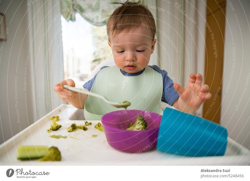 Süßes Baby isst erste feste Nahrung, Kleinkind sitzt im Hochstuhl. Kind probiert Gemüse am Tisch, entdeckt neue Lebensmittel. Gemütliche Küche Interieur. Gesundes Essen Konzept.