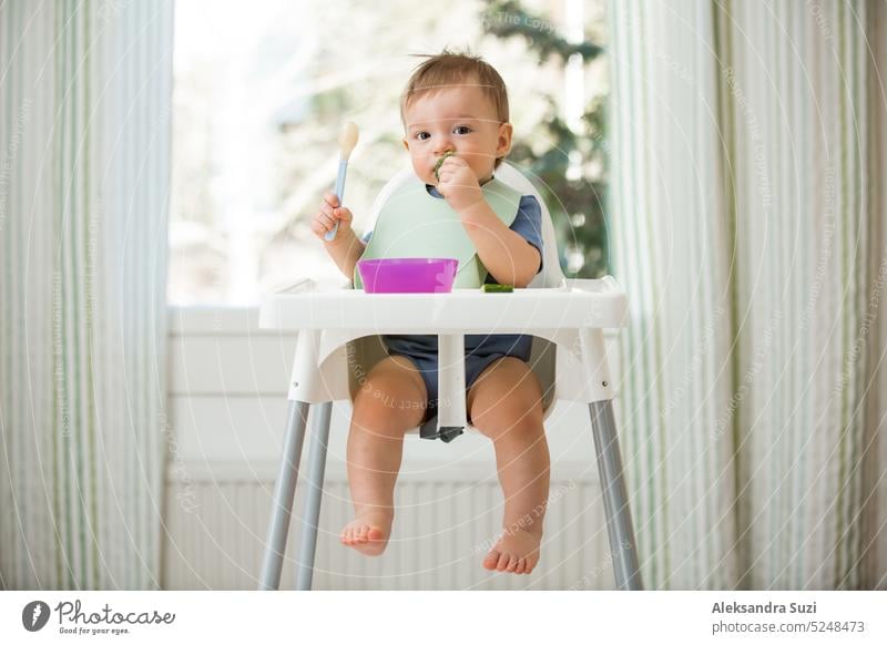 Süßes Baby isst erste feste Nahrung, Kleinkind sitzt im Hochstuhl. Kind probiert Gemüse am Tisch, entdeckt neue Lebensmittel. Gemütliche Küche Interieur. Gesundes Essen Konzept.