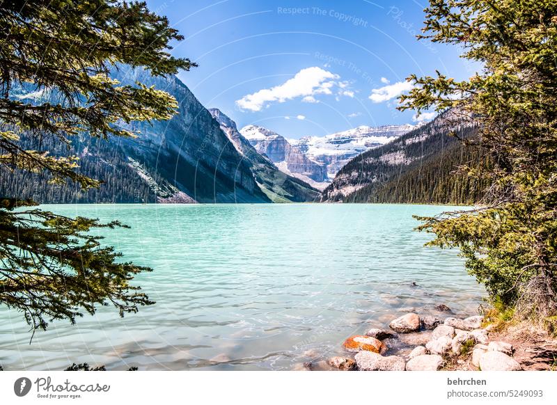 milchbad friedlich stille Einsam Einsamkeit Himmel Gletscher Banff National Park Bergsee weite besonders Ferne Ferien & Urlaub & Reisen Fernweh Tourismus