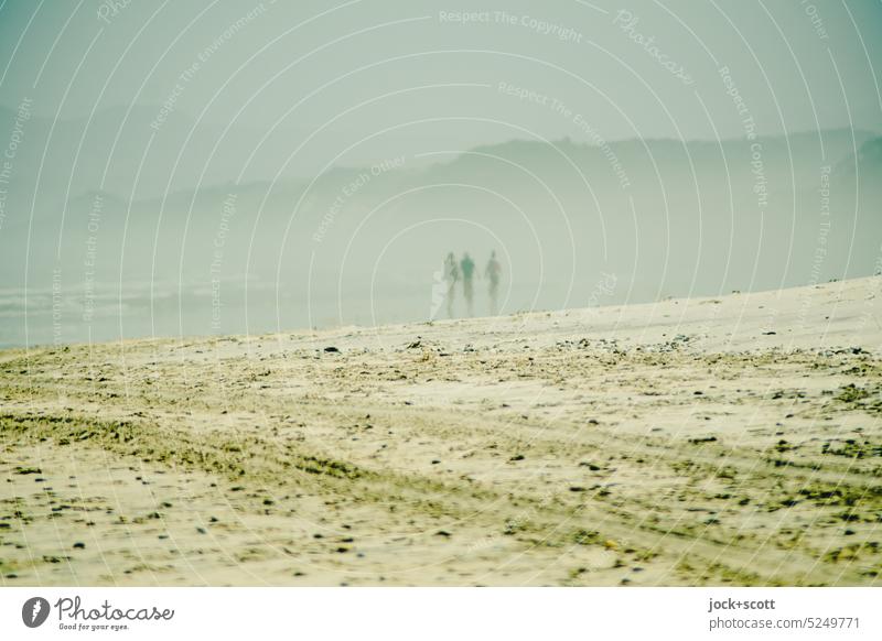 Spuren | ein kommen und gehen am Strand Dunst Küste Landschaft Silhouette Wege & Pfade Ferien & Urlaub & Reisen Spaziergänger Tasmanien Australien Hügel