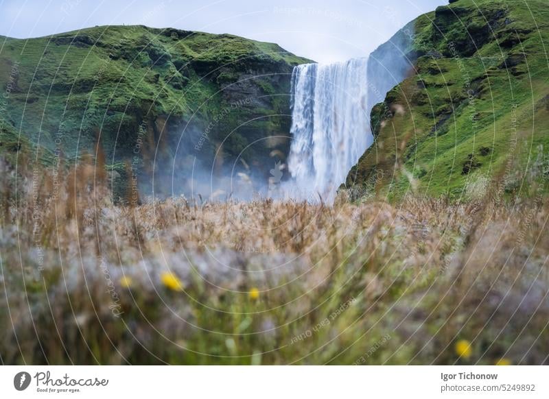 Der berühmte Wasserfall Skogarfoss im Süden von Island skogarfoss malerisch strömen reisen Landschaft fallen Kaskade Fluss isländisch Europa Natur Abenteuer