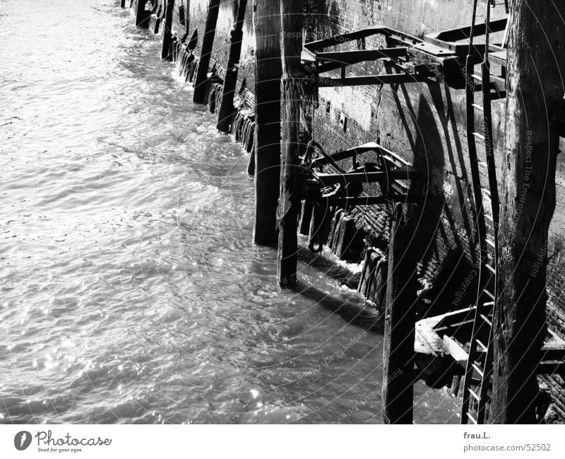 Hafenmauer Hamburger Hafen Grauwert Mauer Anlegestelle Wasser muddelig Pfosten Sonne Treppe Leiter Elbe