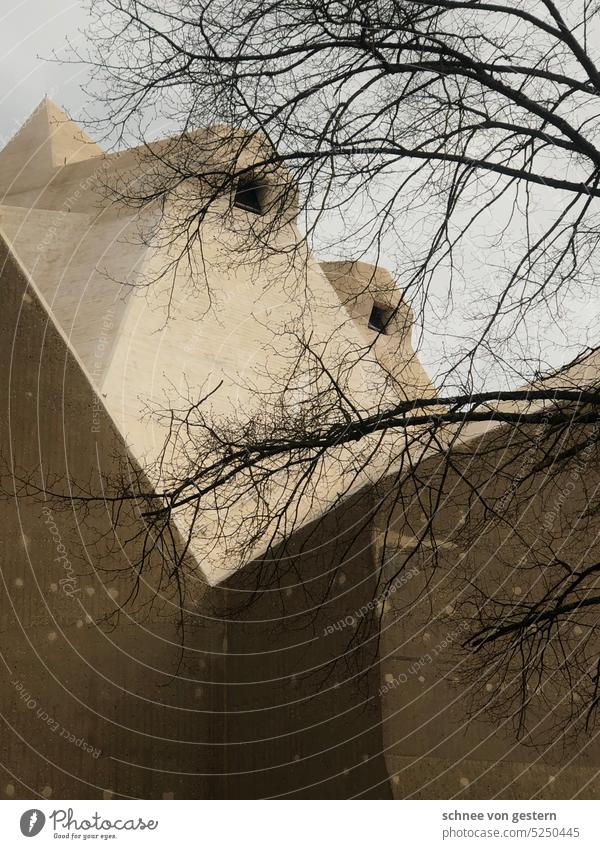 Baum vor Gletscher Architektur Bauwerk Außenaufnahme Farbfoto Menschenleer Haus trist Textfreiraum oben Himmel Gebäude Wand Platz Beton Mauer Fassade Kirche