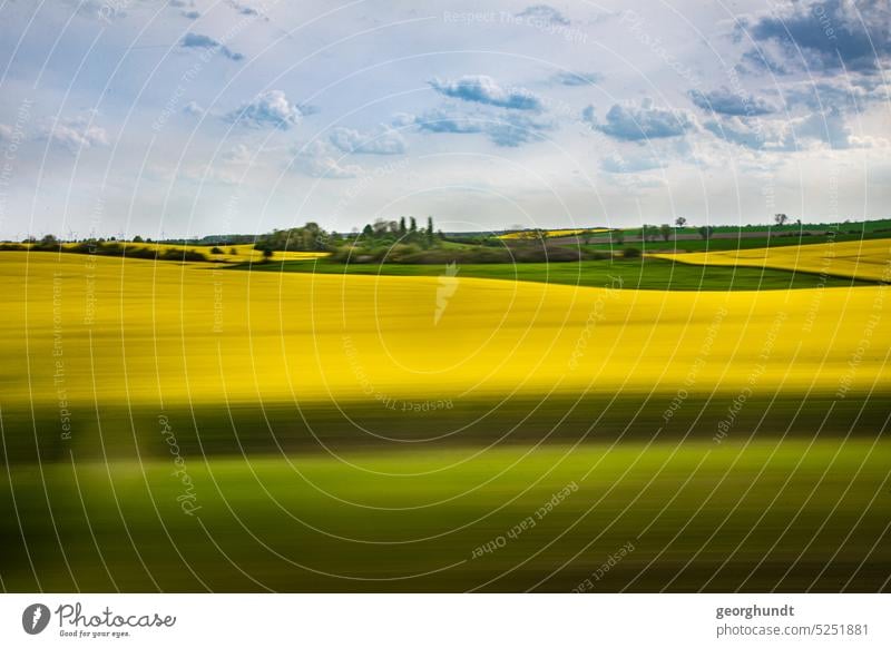 solare Rapsfahrt 2 | Foto aus einer Bahn- oder Autofahrt vorbei an Rapsfeldern und einer leicht bewaldeten Landschaft im Hintergrund. Fahrt Bewegt