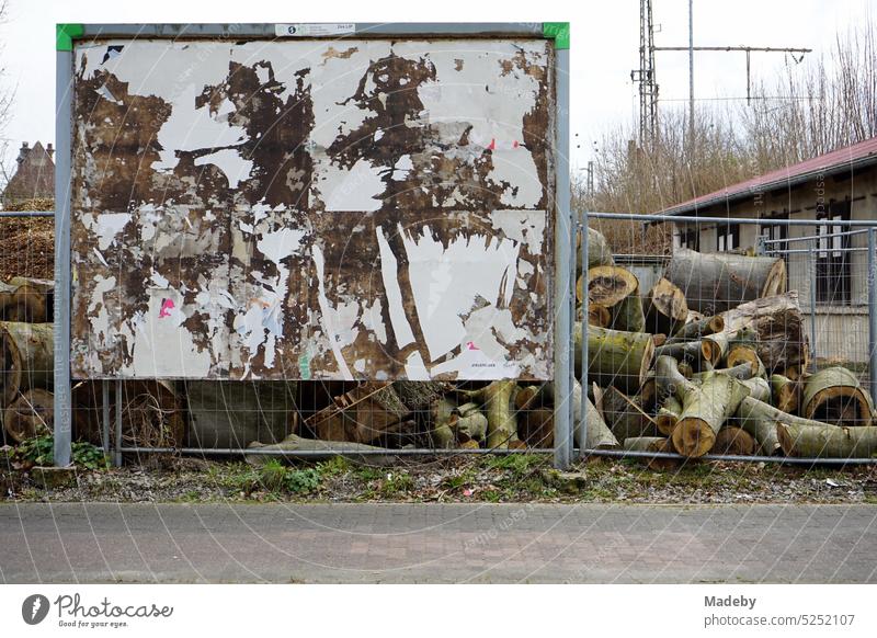 Heruntergekommene Plakatwand mit Plakatresten und Papierresten vor einer Holzhandlung im Gewerbegebiet in Detmold am Teutoburger Wald in Ostwestfalen-Lippe