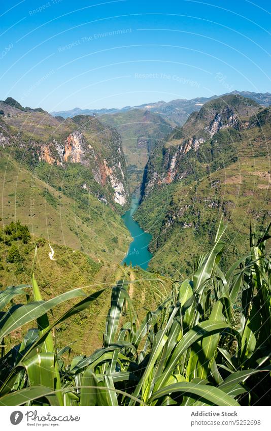 Fluss zwischen grünen Hügeln Tal Berge u. Gebirge Landschaft Hochland Natur spektakulär malerisch Umwelt friedlich Gelände ha giang Vietnam Kamm Berghang