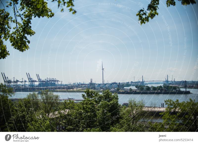 Hamburger Hafen Elbe Handel Verkehr Hafenkran Güterverkehr & Logistik Stadt Hafenstadt Aussicht romantisch Kräne Architektur Arbeit & Erwerbstätigkeit