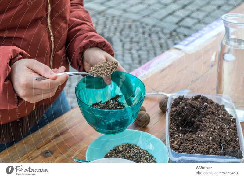 Hier wird aus Erde, Wasser und Blumensamen eine Samenbombe gebastelt Pflanze Pflanzen basteln selber machen DIY Samenkugel einpflanzen wachsen blühen Frühling