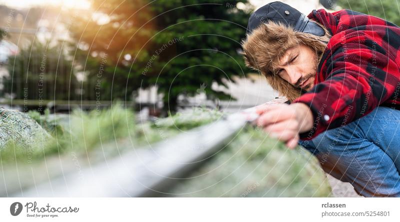 Mann, der ein Lineal zum Messen und einen Weihnachtsbaum auf einem Weihnachtsmarkt betrachtet prüfen Jeanshose Messgerät ausmessen Kiefer Weihnachten Menschen