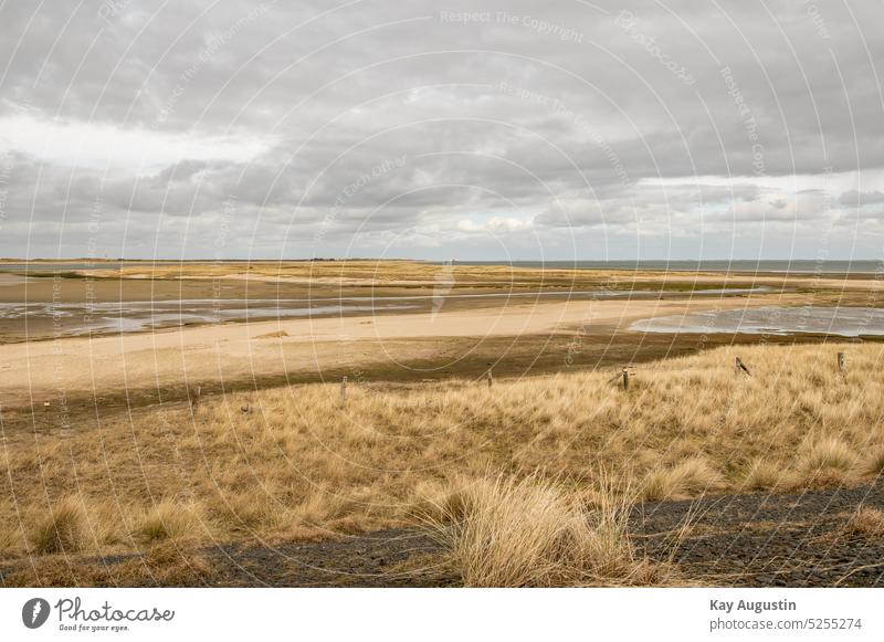 Königshafen Sylt Listland Ellenbogen Natur Wattenmeer Nationalaprk Wattenmeer Insel Sylt Syltlandschaft Norddeutschland Gezeiten landstrich Landschaften Botanik