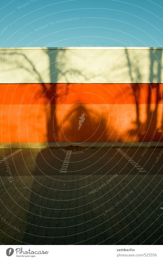 Parkplatz zu verschenken Umwelt Herbst Klima Klimawandel Schönes Wetter Baum Stadt Stadtzentrum Menschenleer Gebäude Mauer Wand Fassade Dach Verkehr