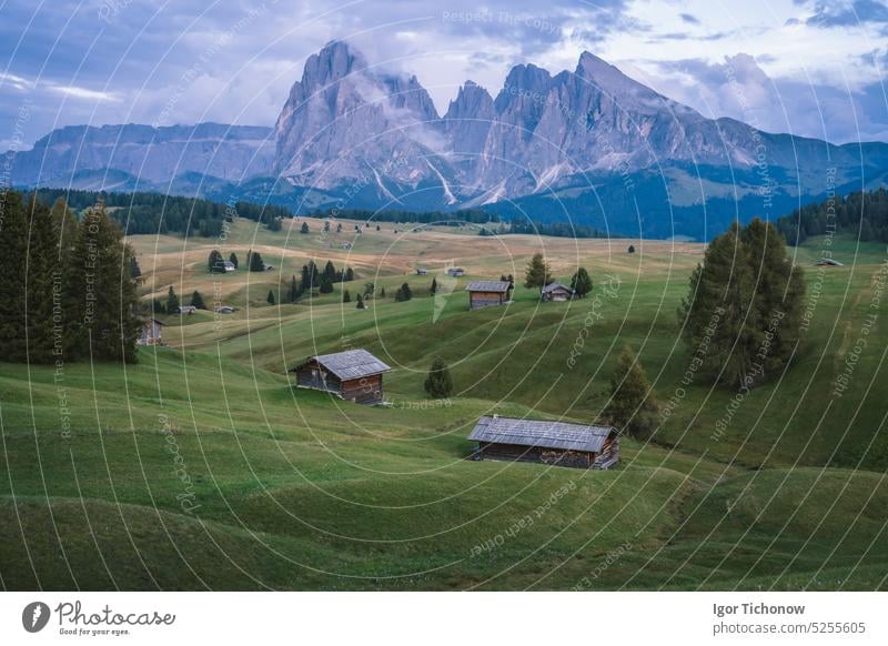 Italienische Dolomiten. Seiser Alm oder Seiser Alm Standort, Provinz Bozen, Südtirol, Italien, Europa Morgen Berge sonnig di siusi Alpe Landschaft Wiese Natur