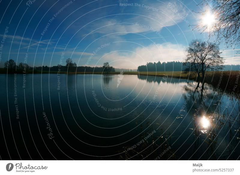 Seenland Naturlandschaft Seeufer Menschenleer Außenaufnahme Landschaft Wasser Farbfoto ruhig Reflexion & Spiegelung Wasseroberfläche Umwelt Ruhe Erholung Tag