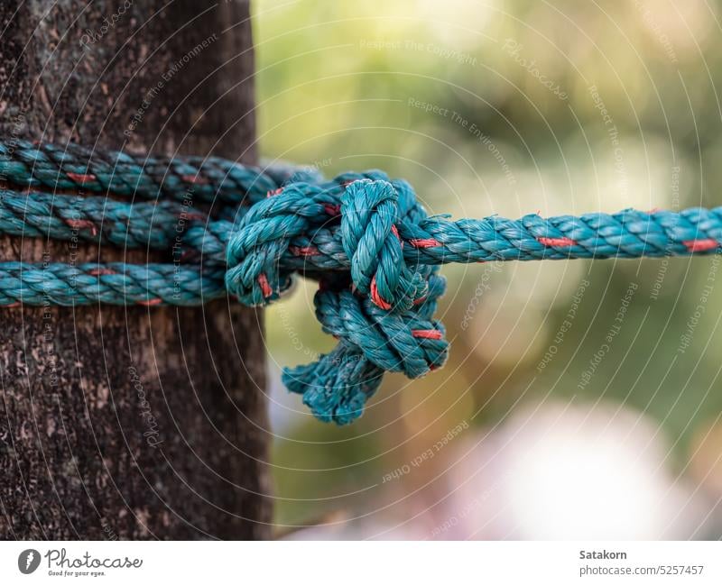 Das Nylonseil war fest an den großen Baum gebunden Seil grün Linie Knäuel Schnur Holz ringsherum rau ziehen stark eng Natur gerade angespannt gedehnt Objekt