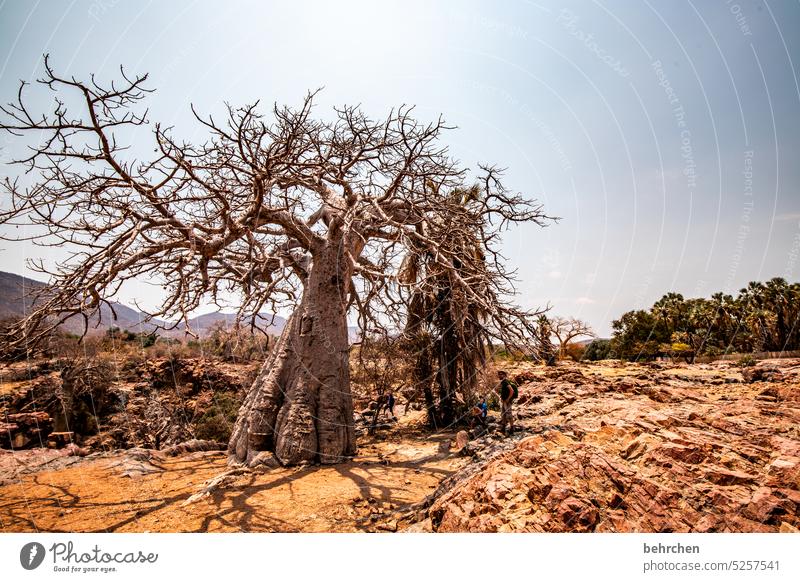 surreal groß kräftig beeindruckend imposant stark Wärme Himmel besonders Abenteuer Ferien & Urlaub & Reisen Landschaft Natur Fernweh Namibia Farbfoto Afrika