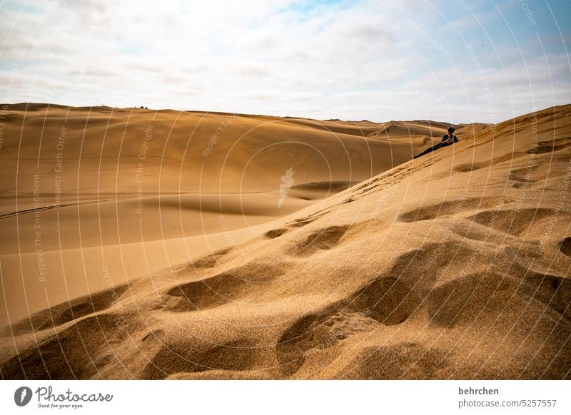 ne menge sand sanft weite Menschenleer fantastisch Dünen besonders sandwich harbour Wüste träumen Afrika Namibia Sand Ferne Fernweh reisen Sehnsucht Farbfoto