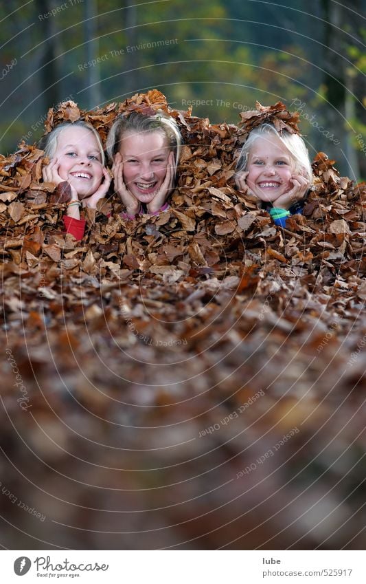 Mädels im Laub Freude Glück Garten Mensch feminin Mädchen Kindheit 3 8-13 Jahre Natur Landschaft Herbst Wald Fröhlichkeit Blatt verstecken Versteck Printmedien