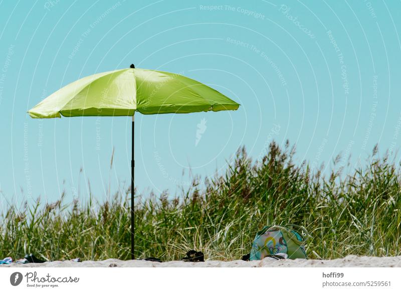 Grüner Sonnenschirm  in den Dünen Wolkenloser Himmel Blauer Himmel Minimalismus Sonnenbad Küste Erholung Schatten ausruhen ruhige Umgebung Sonnenlicht Sand