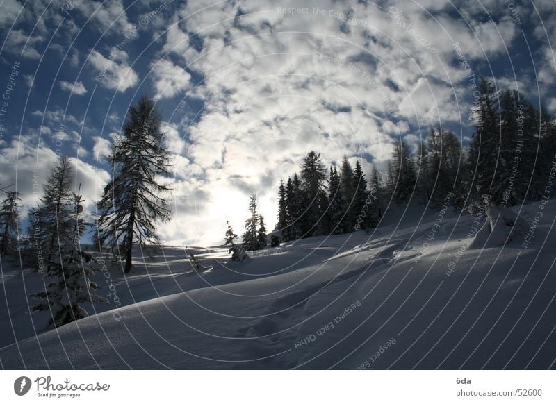 Ein Wintertraum Wolken Baum Tiefschnee Schnee kalt Sonne Himmel