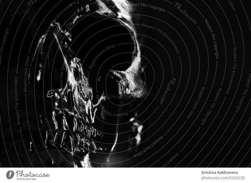 Modell eines menschlichen Schädels mit schwarzer Farbe auf dunklem Hintergrund mit Beleuchtung. beängstigend Skelett farbig schließen Strebe Leben