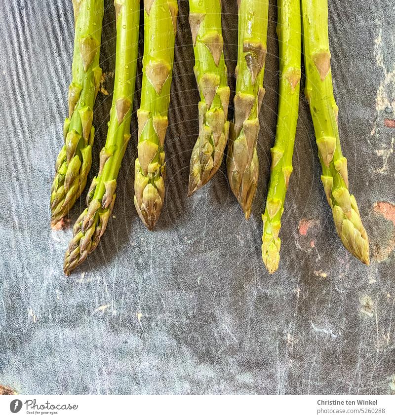 Sieben frische grüne Spargelstangen auf grauem Untergrund grüner Spargel Spargelzeit Foodfotografie Gemüse Spargelsaison Gemüsespargel Grünspargel