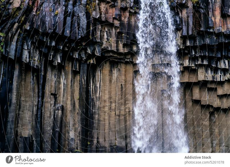 Mächtiger Wasserfall auf felsiger Klippe platschen Felsen Landschaft Natur malerisch fallen See Island Europa Svartifoss Ausflugsziel Kraft Umwelt Fluss rein