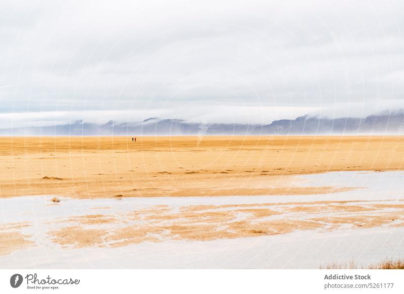 Sandstrand am stürmischen Meer MEER Natur Meereslandschaft Landschaft Silhouette wolkig winken Reisender Strand Himmel Sonnenuntergang Wasser Zusammensein