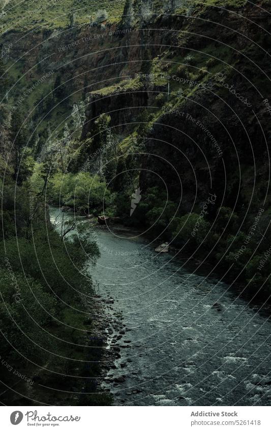 Felsige Klippe in der Nähe von plätscherndem Wasser Landschaft See Waschen Stein Formation felsig Rippeln Natur Umwelt rau malerisch übersichtlich bedeckt