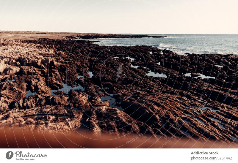 Felsformationen am Meeresufer unter wolkenlosem Himmel MEER Felsbrocken Stein Formation Wasser winken Natur malerisch Landschaft rau felsig Meereslandschaft