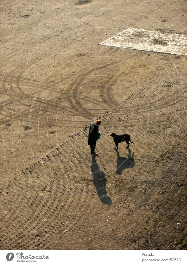 braver Hund Plastiktüte Frau Platz Freundschaft alt Haustier Tier Reifenspuren rothaarig Säugetier Pelzkragen Schatten mit dem hund rausgehen leckerlie