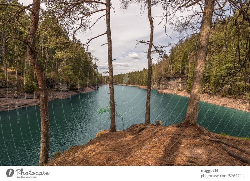 Talsperre mit Halbinsel im Wald Außenaufnahme Natur Menschenleer Landschaft Wasser Farbfoto See Felsen Schlucht Tag grün Baum blau Himmel Sommer Wolken