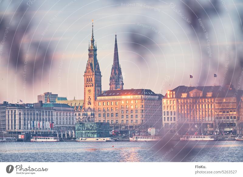 Rathaus und Jungfernstieg bei Sonnenaufgang in Hamburger Innenstadt Binnenalster Alster Hamburger Rathaus Außenaufnahme Farbfoto Stadt Sehenswürdigkeit