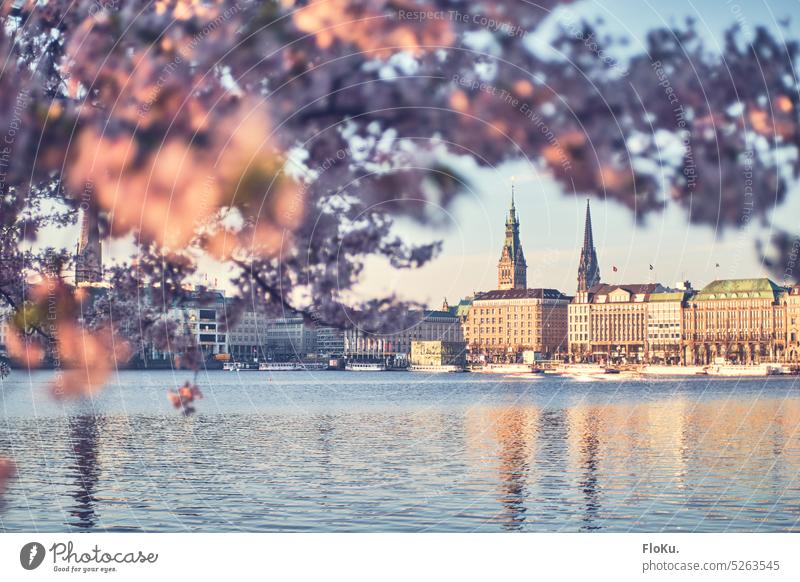 Hamburger Jungfernstieg an der Binnenalster Alster Hamburger Rathaus Außenaufnahme Stadt Sehenswürdigkeit Farbfoto Wasser Hafenstadt Stadtzentrum Menschenleer