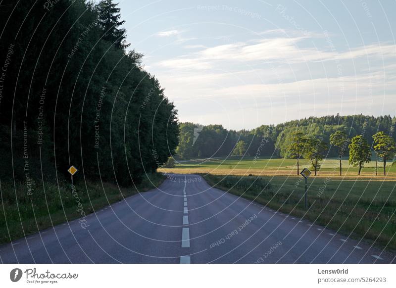 Leere Straße in Waldnähe in Schweden Asphalt Land Landschaft Laufwerk leer leere Straße grün Autobahn Natur niemand im Freien Weg Route ländlich Skandinavien