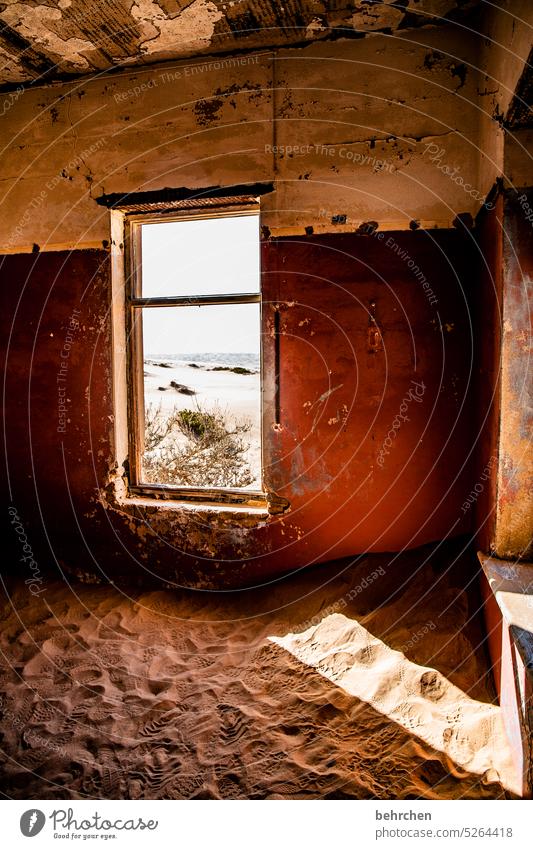 spuren | der zeit Schatten Licht verlassen Vergänglichkeit Afrika Namibia Wüste Fernweh Farbfoto Abenteuer Ferien & Urlaub & Reisen besonders beeindruckend