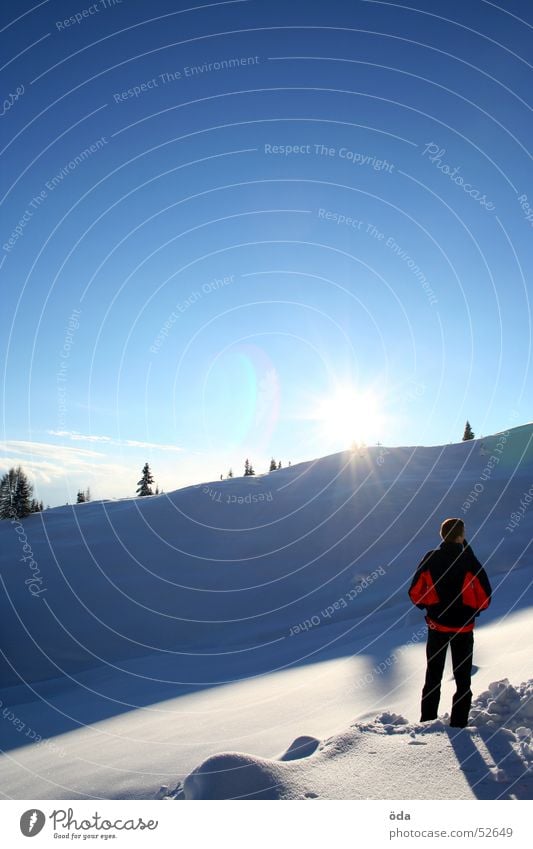 Himmel - Sonne - Schnee Baum Tiefschnee Winter kalt Jacke extrem Mann genießen Mensch Aussicht