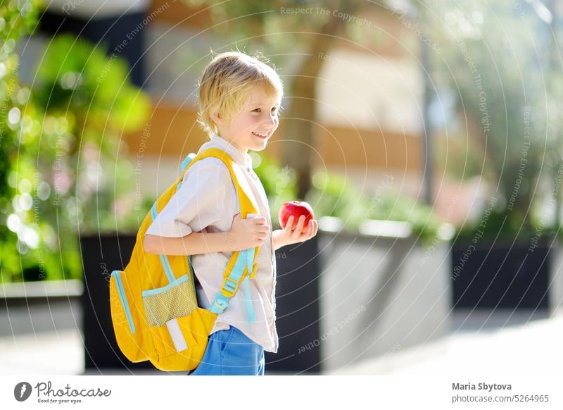 Kleiner Schuljunge geht nach den Ferien freudig zur Schule. Kind auf dem Hof eines Schulhauses. Gute Bildung für Kinder. Kinder zurück in der Schule