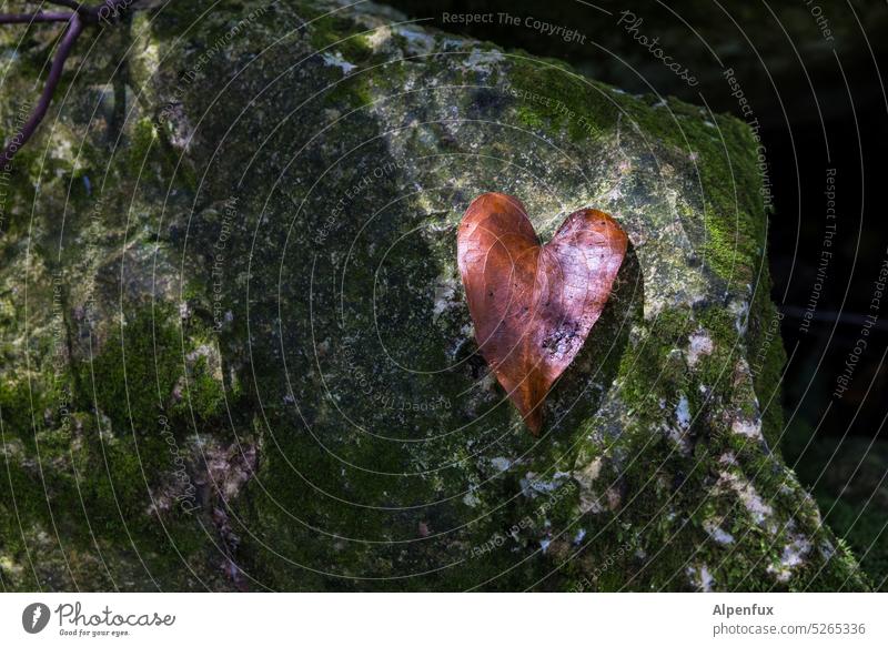 Liebesgruß Herz Blatt herzförmig herzlich Romantik Muttertag Muttertagsgeschenk Liebeserklärung Liebesbekundung Gefühle Verliebtheit Valentinstag