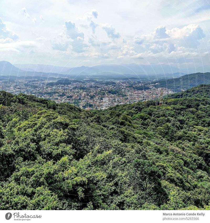 Waldbäume und urbane menschliche Gebäude verschmelzen miteinander Natur Großstadt Wolken Wolkenhimmel Berge u. Gebirge Hügel Baum grün Gehäuse weiß horizontal